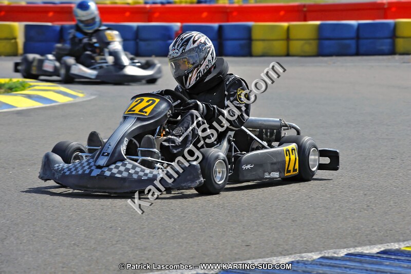 DSC_ (1351).jpg